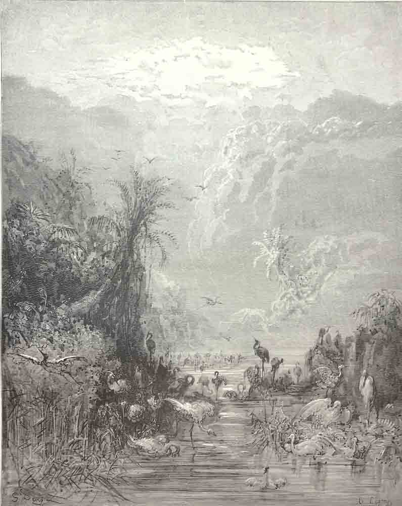 Book VII. L. 417-418